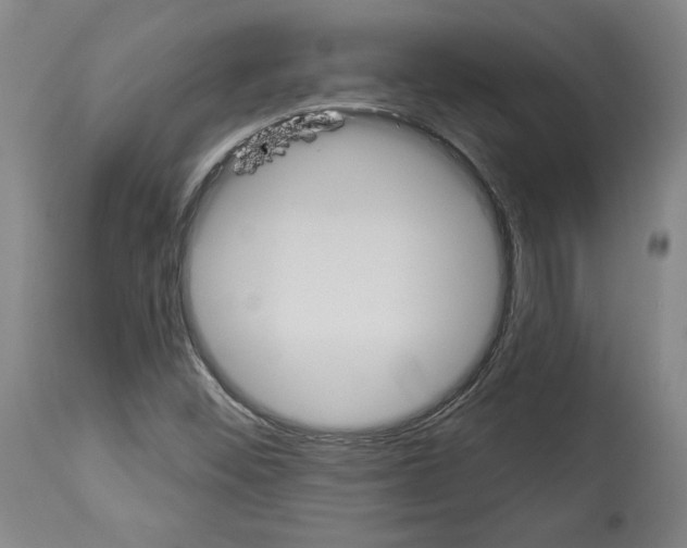 X0000112911452200910051031