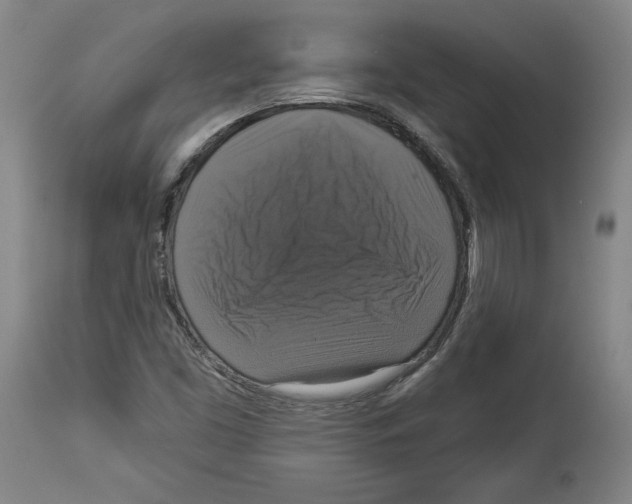 X0000112911453200910051031