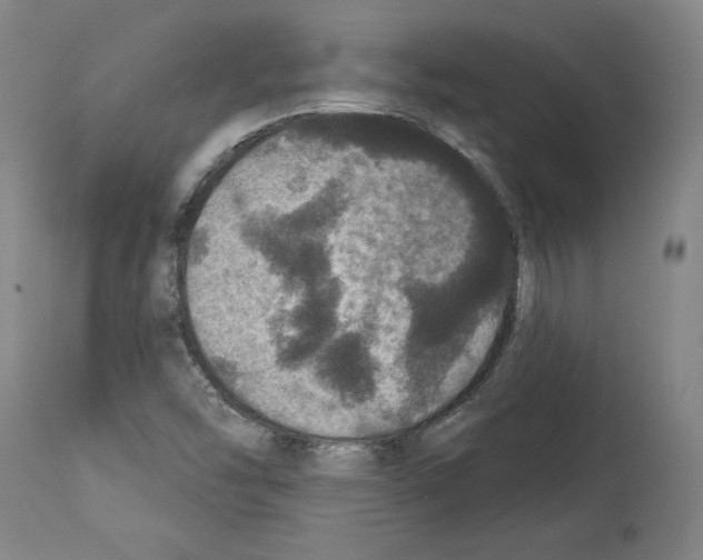 X0000112911454200910051031