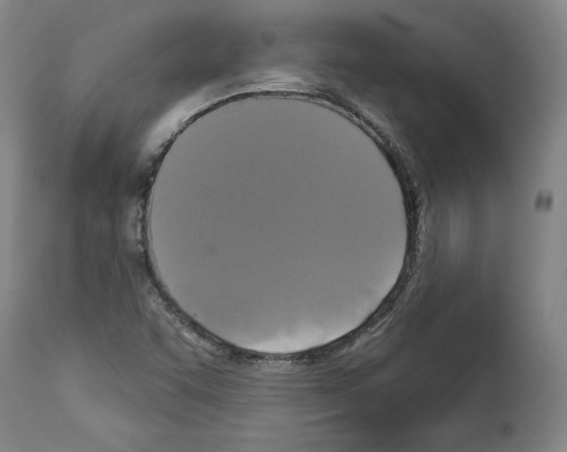 X0000112911455200910051031
