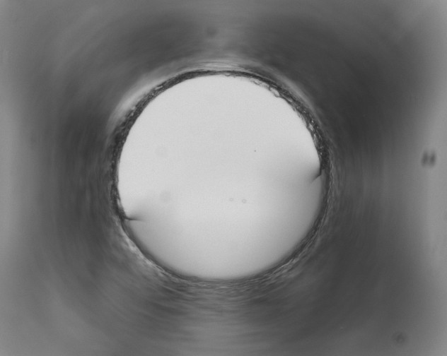 X0000112911456200910051031