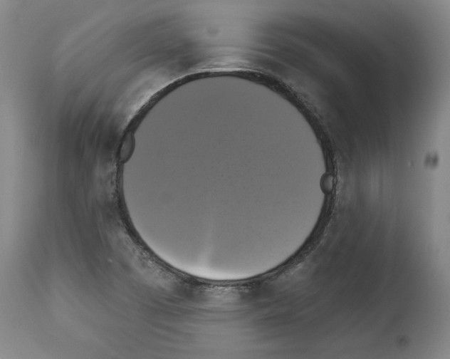 X0000112911457200910051031