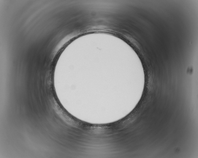 X0000112911458200910051031