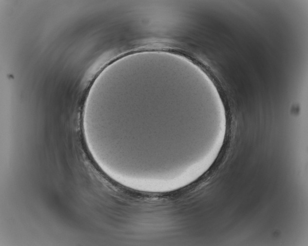 X0000112911459200910051031