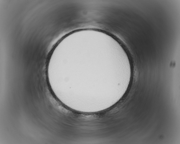 X0000112911460200910051031