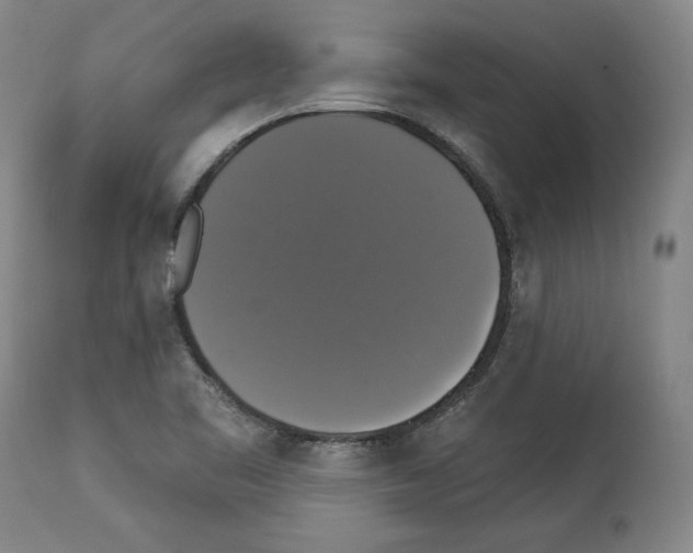 X0000112911461200910051031