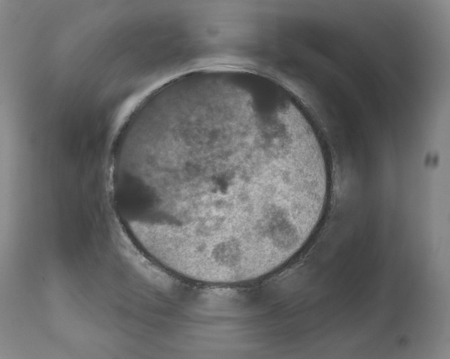 X0000112911462200910051031