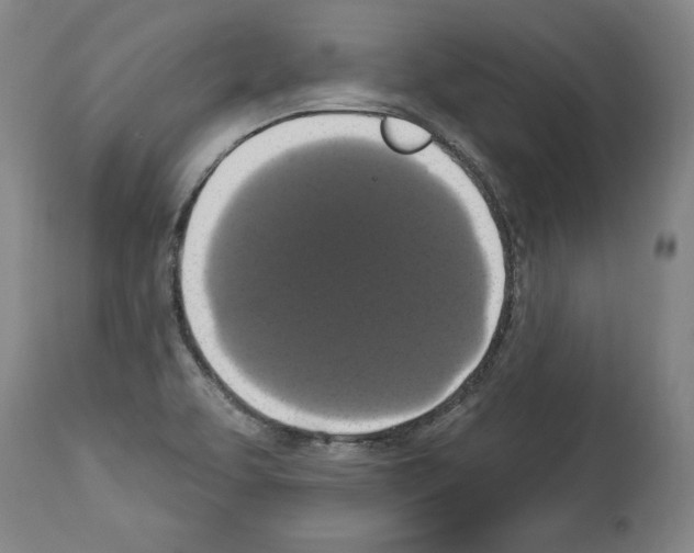 X0000112911463200910051031