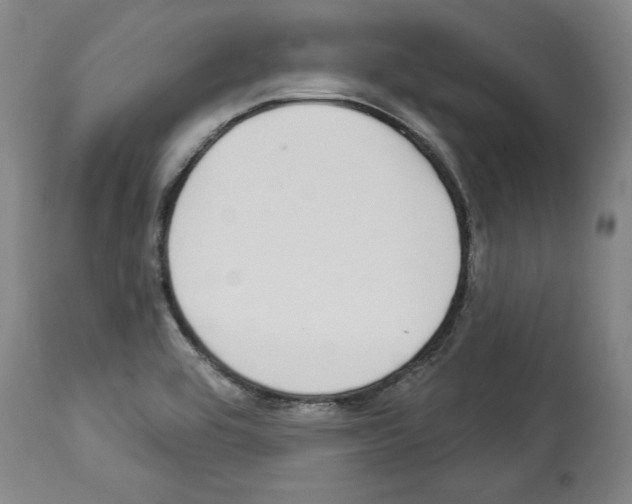 X0000112911464200910051031