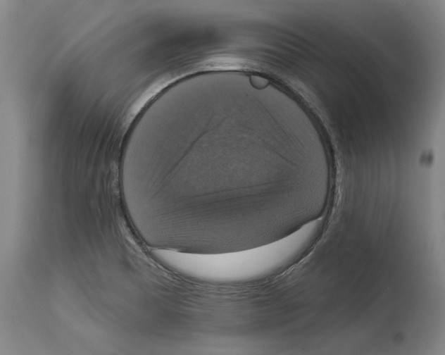 X0000112911465200910051031
