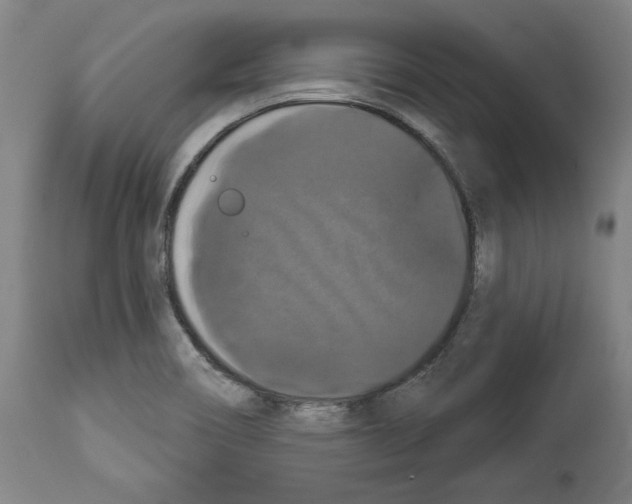 X0000112911466200910051031