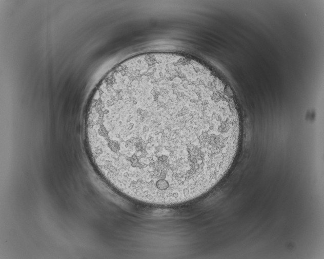 X0000112911467200910051031