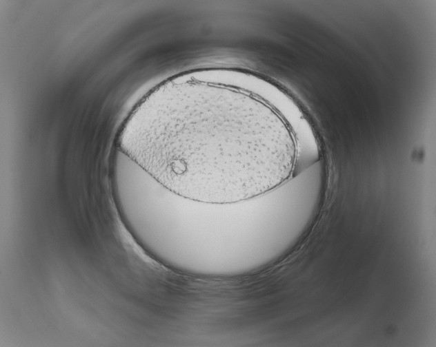 X0000112911468200910051031