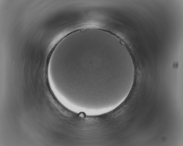 X0000112911469200910051031