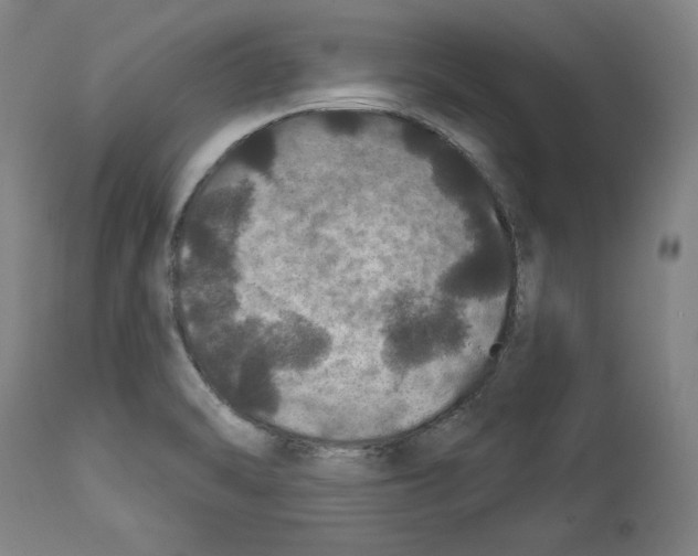 X0000112911470200910051031