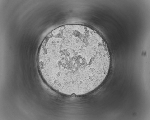 X0000112911471200910051031