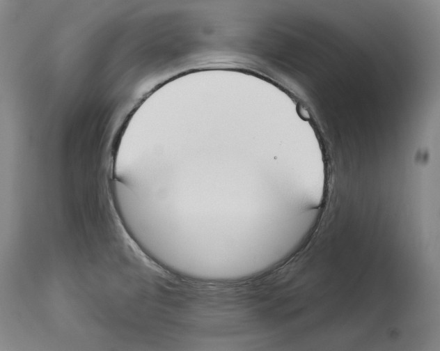 X0000112911472200910051031