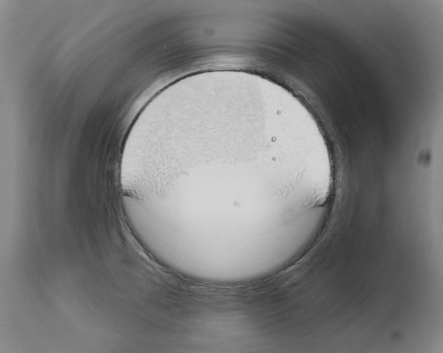 X0000112911473200910051031