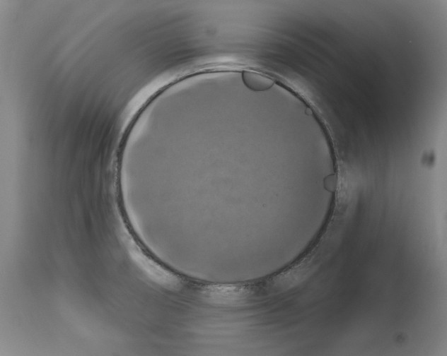 X0000112911474200910051031