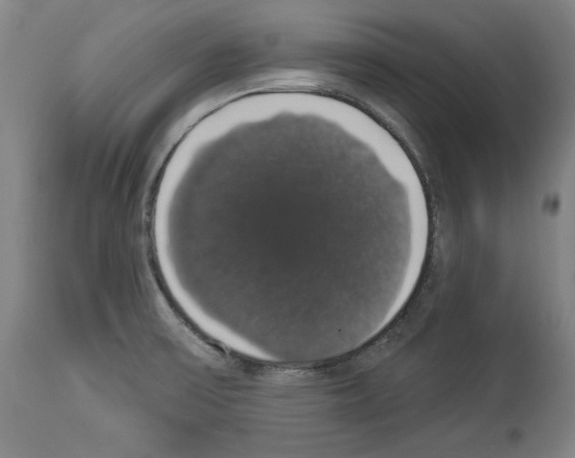 X0000112911475200910051031