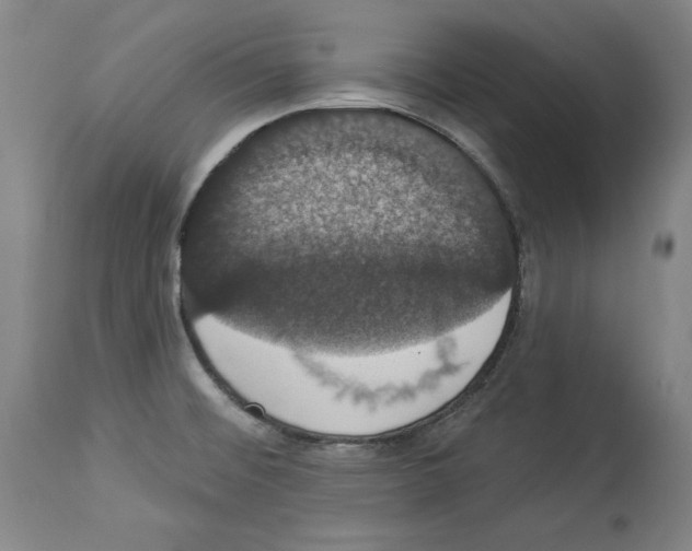 X0000112911476200910051031