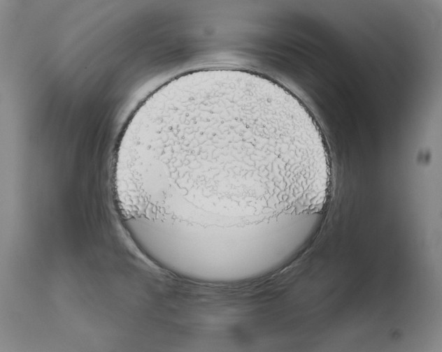 X0000112911477200910051031
