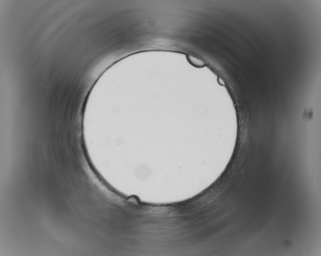 X0000112911479200910051031
