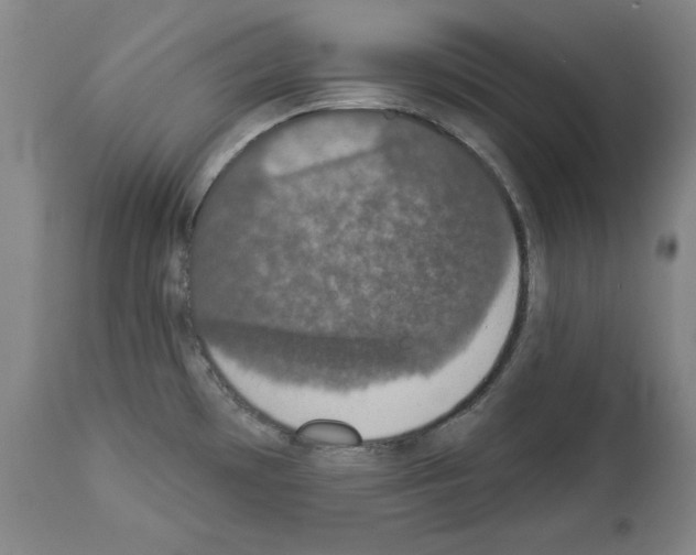 X0000112911481200910051031