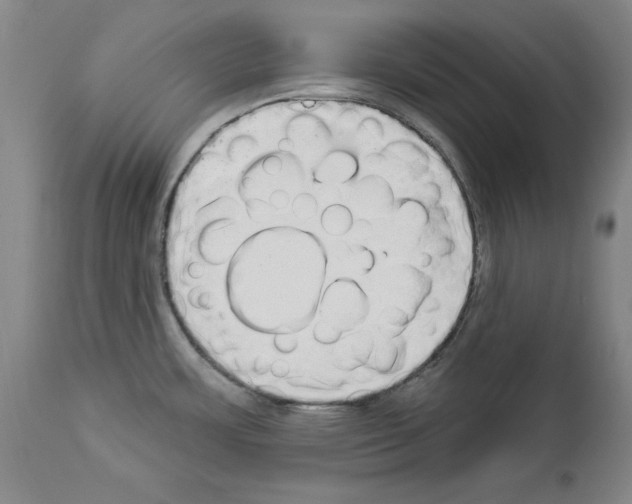 X0000112911483200910051031