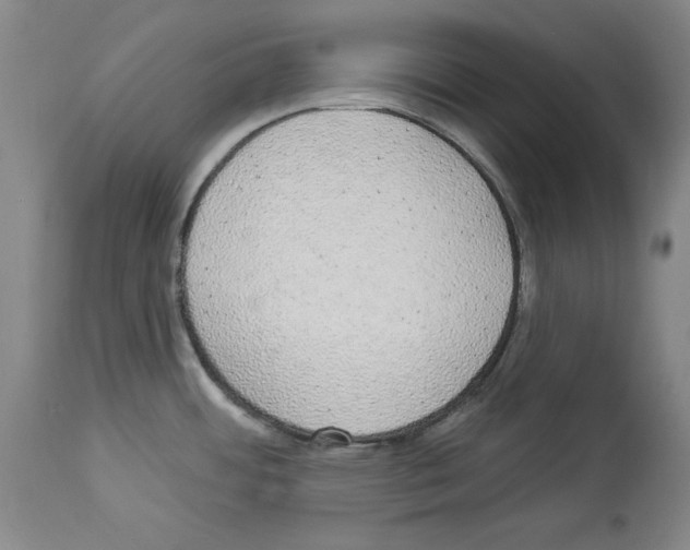 X0000112911484200910051030