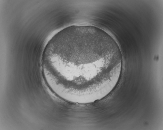X0000112911485200910051030
