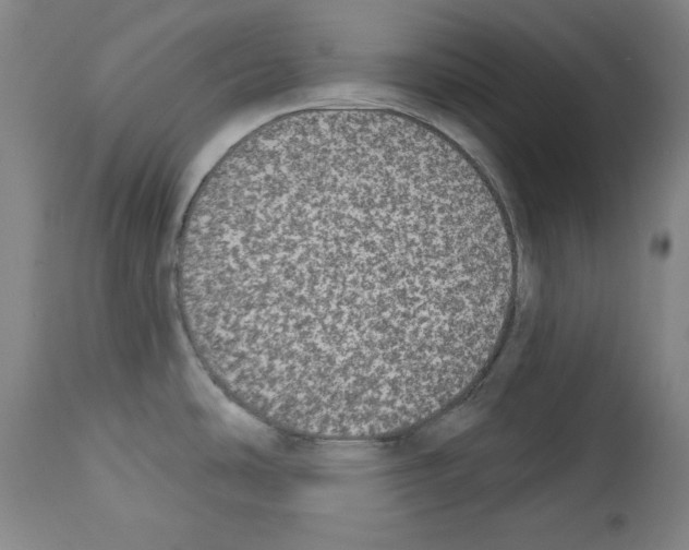 X0000112911486200910051030