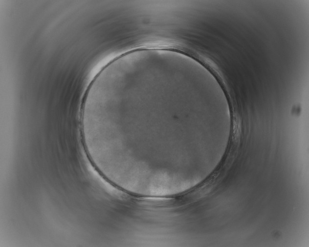 X0000112911487200910051030