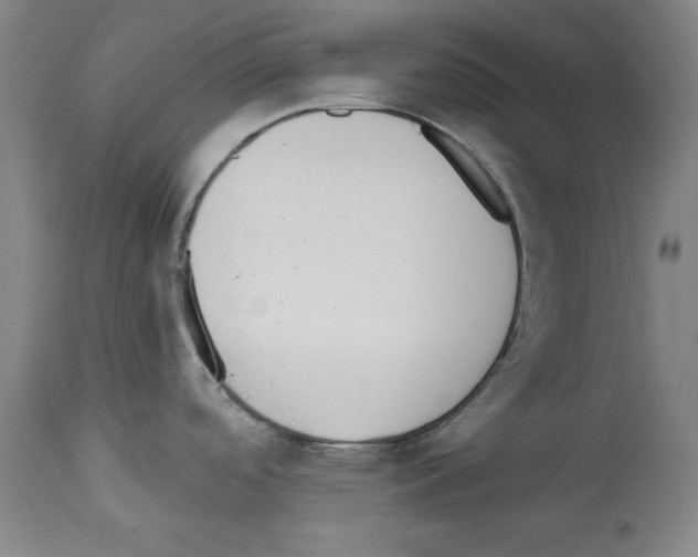 X0000112911488200910051030