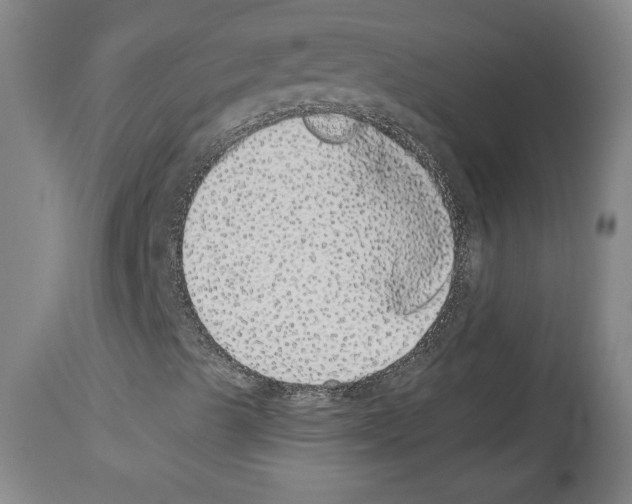 X0000112911489200910051029