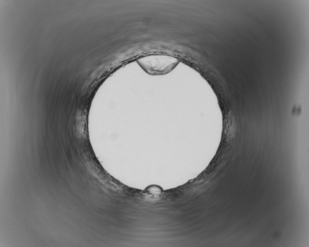 X0000112911490200910051029