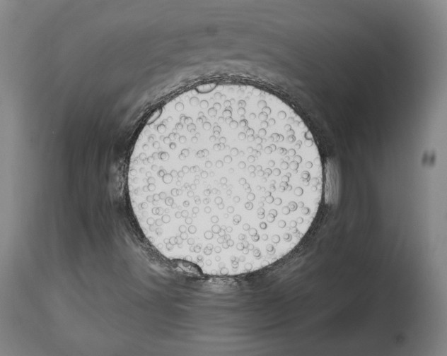 X0000112911491200910051029