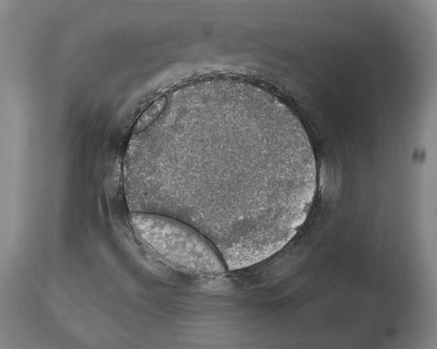 X0000112911492200910051029