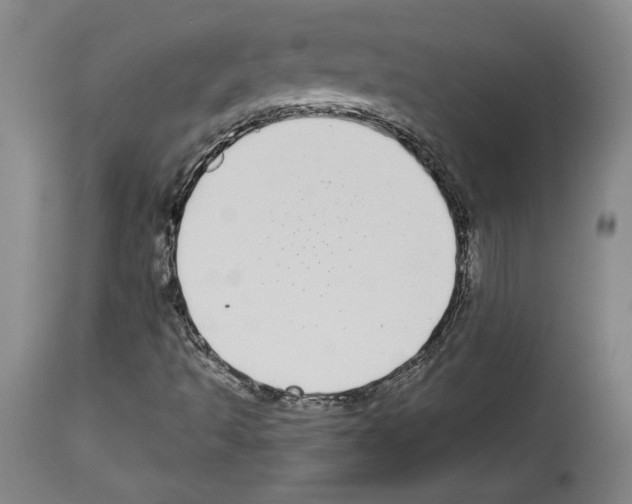 X0000112911493200910051030