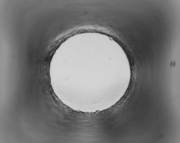 X0000112911494200910051030