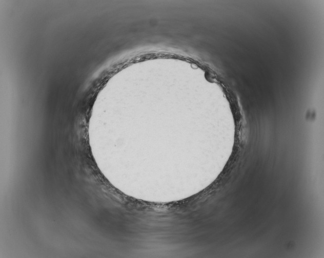 X0000112911495200910051030