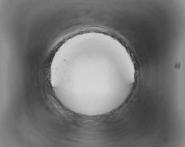 X0000112911496200910051030