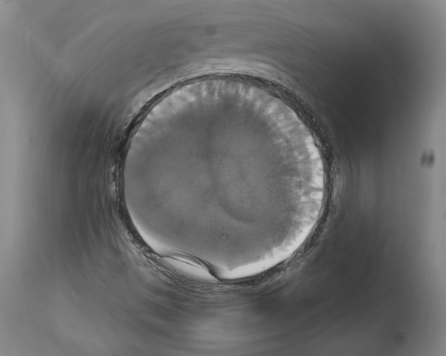 X0000112911497200910051030