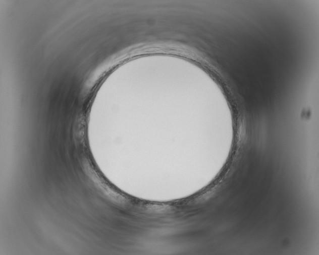 X0000112911498200910051030