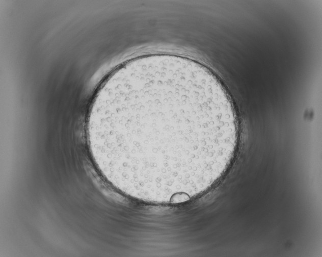 X0000112911499200910051030