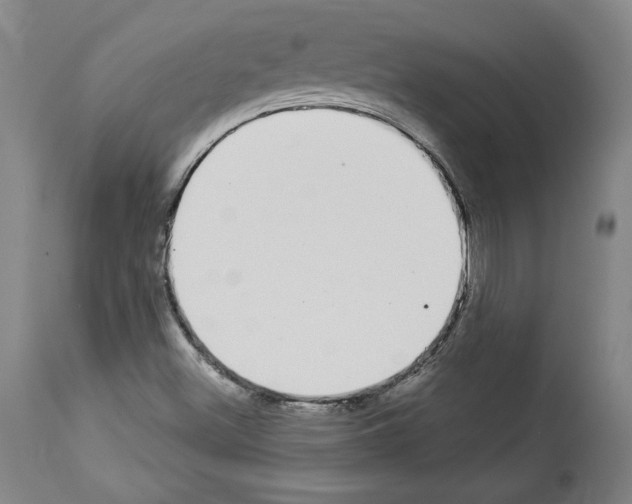 X0000112911500200910051030