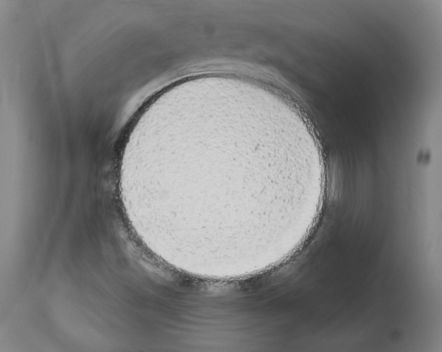 X0000112911501200910051030
