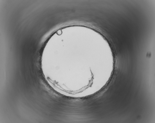 X0000112911502200910051030