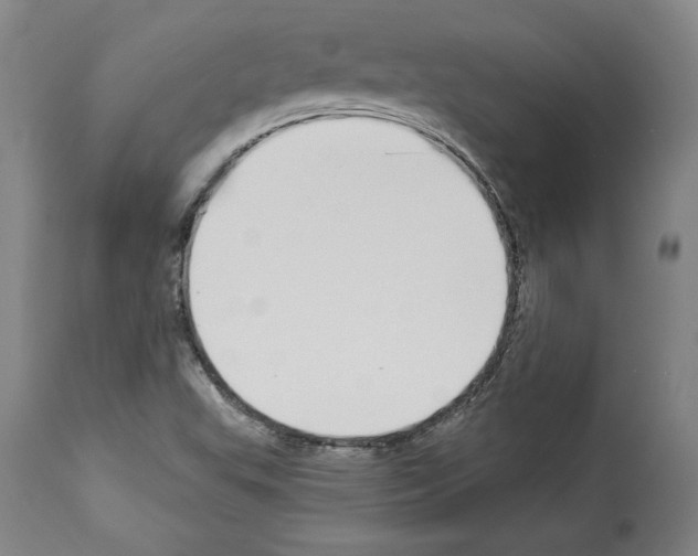 X0000112911503200910051030