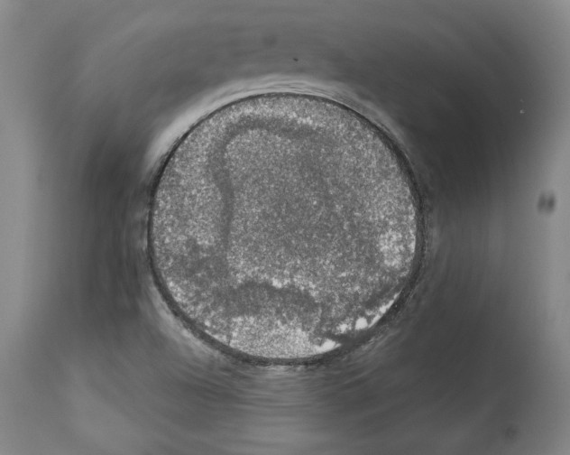 X0000112911504200910051030